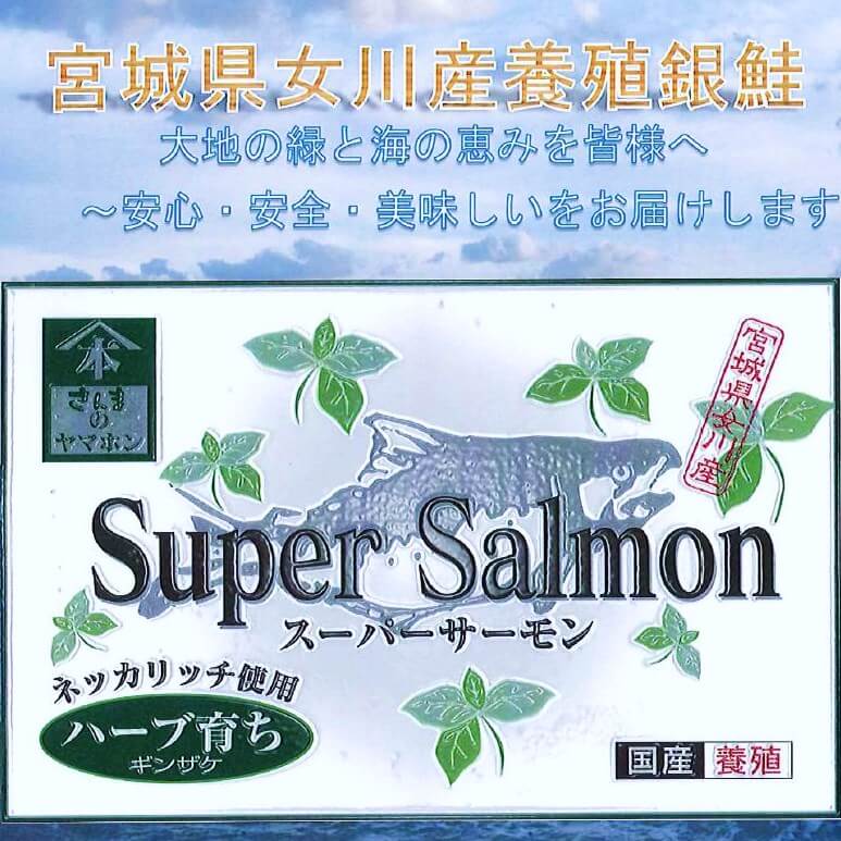 新しいビットマップ イメージ